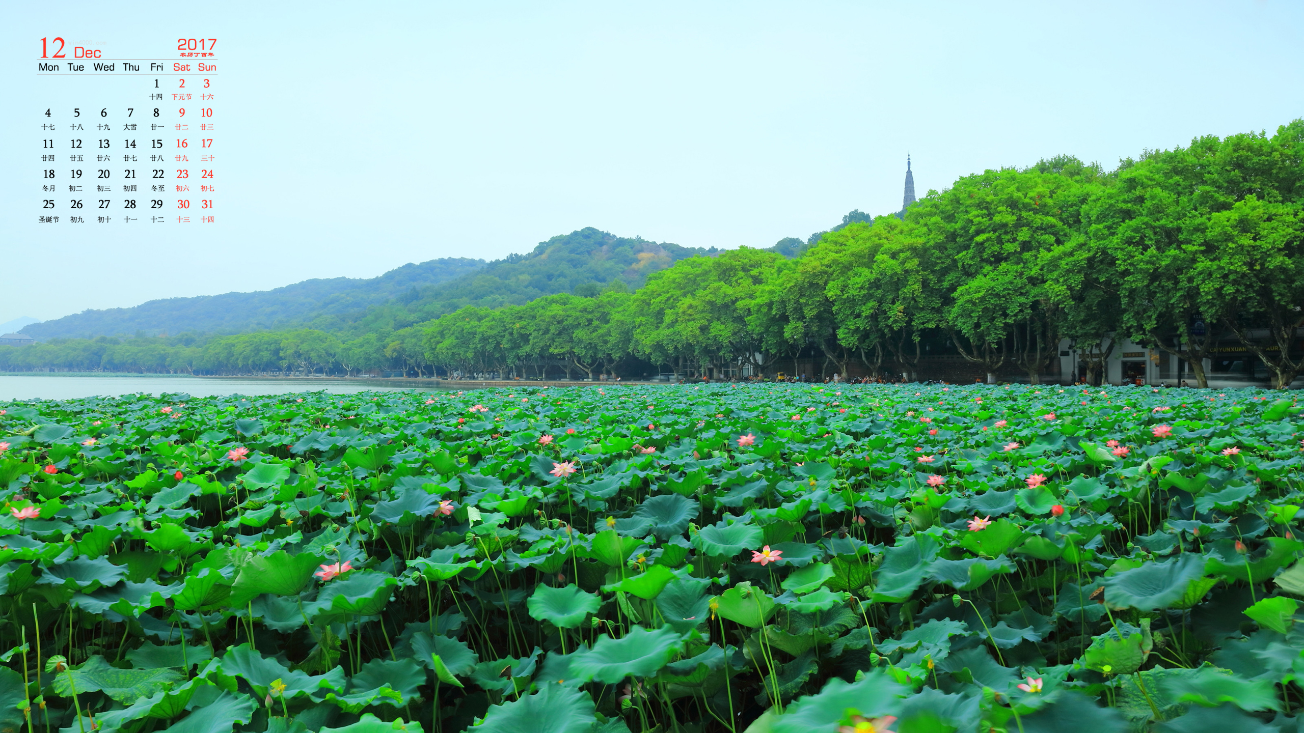 华美注册官网：山河令温客行什么时候知道周子舒身份 原著小说是哪一章<span i